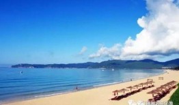 海南海边最新消息爆料,神秘海岛发现珍稀生物，旅游胜地再掀热潮