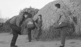 石家庄农村爆料案件最新