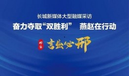 近日媒体爆料视频大全最新,视频大全背后的惊人真相