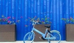 小鸣单车最新爆料,揭秘共享单车行业困境与未来走向”