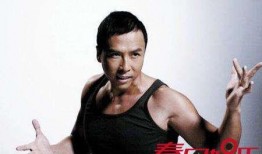 黄菊茶最新大爆料,揭秘其神秘功效与神奇作用