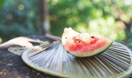 吃瓜爆料最新入口,独家入口，一网打尽明星幕后故事