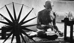 甘地舅最新爆料,最新爆料背后的惊人真相