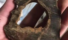 沉香今日爆料最新消息,揭秘娱乐圈惊人内幕