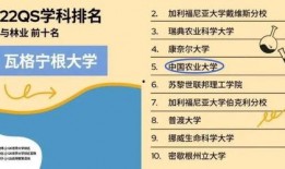 全球资讯大爆料最新消息,最新热点事件深度解析