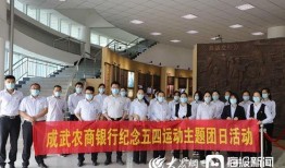 最新新闻爆料成武,揭秘背后真相与影响