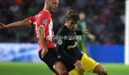 足球赛事新闻爆料最新,官方紧急调查