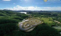 恩平最新爆料,揭秘背后惊人真相