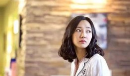 黄菊茶最新大爆料,揭秘其神秘功效与神奇作用