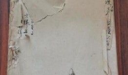 哈尔滨探店爆料视频最新,网红美食地图再升级，独家探店攻略来袭！