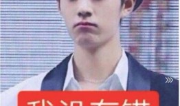 最新爆料李里事件真相,真相背后的惊人内幕