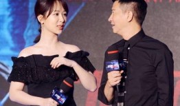 杨紫张家辉最新爆料,揭秘幕后故事与精彩瞬间