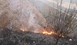 狮子山爆料视频最新版,惊人内幕曝光！