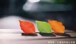 甜瓜的最新爆料文案短句,揭秘娱乐圈最新热点