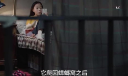 瓜姐最新爆料秘密视频,神秘视频背后的惊人真相