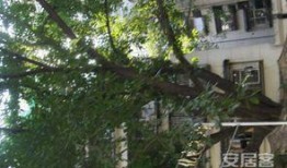 重庆花园爆料视频最新,揭秘神秘事件背后的真相