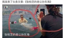 香港八卦最新爆料视频,揭秘视频背后的惊人真相！