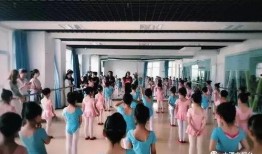 大理学校最新爆料,揭秘校园风云背后的真相