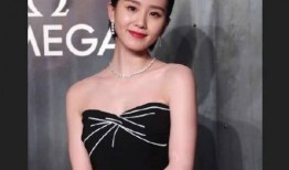 刘诗诗最新八卦爆料新闻,神秘男友身份引网友热议