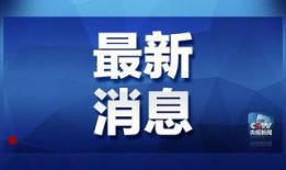 龙岗爆料新闻事件最新消息,事件进展及影响深度解析