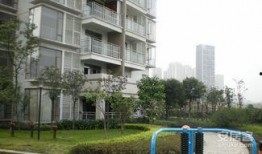 重庆花园爆料视频最新,揭秘神秘事件背后的真相