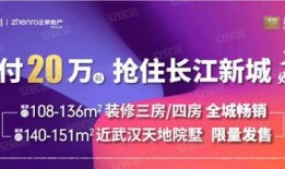 武汉热点爆料事件最新,揭秘XX事件背后的真相与影响