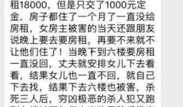 凶杀案爆料范文大全最新,惊心动魄的真相与悬疑追踪